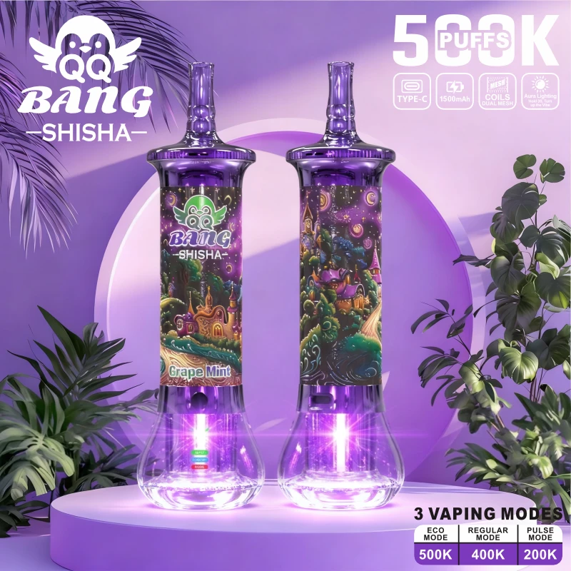 Bang QQ BANG Shisha 500000 500K Züge Einweg-Vape - image 5