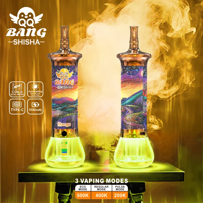 Bang QQ BANG Shisha 500000 500K Züge Einweg-Vape - image 7