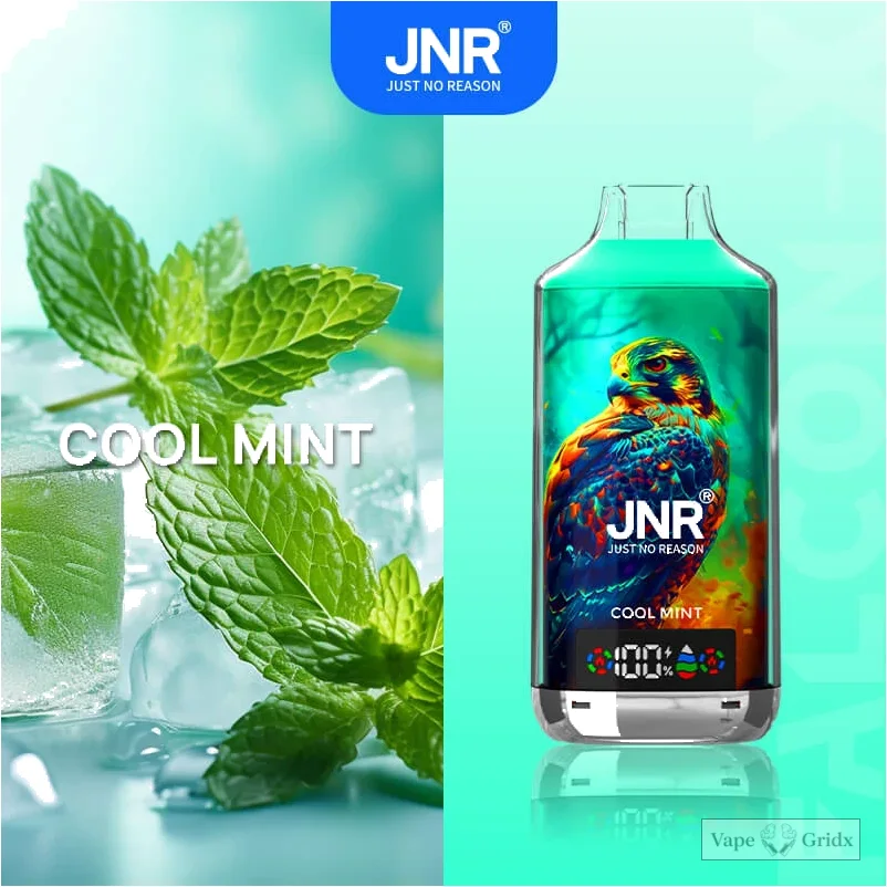JNR Falcon X 18000 18K Züge Einweg-Vape - image 11