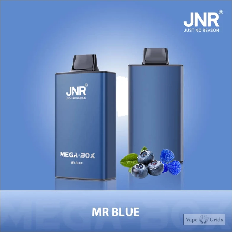 JNR MEGA BOX 25000 25K Züge Einweg-Vape