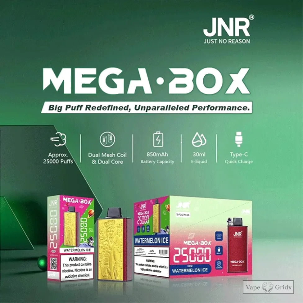 JNR MEGA BOX 25000 25K Züge Einweg-Vape - image 2
