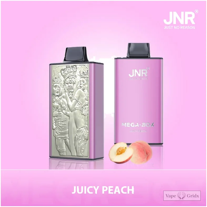 JNR MEGA BOX 25000 25K Züge Einweg-Vape - image 11