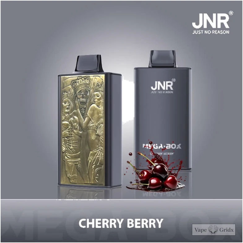 JNR MEGA BOX 25000 25K Züge Einweg-Vape - image 12
