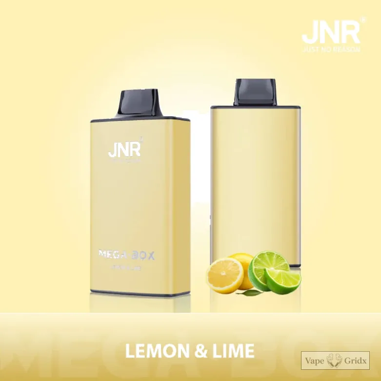 JNR MEGA BOX 25000 25K Züge Einweg-Vape - image 14