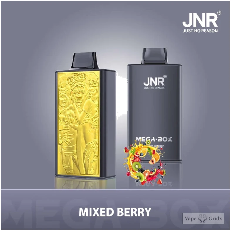 JNR MEGA BOX 25000 25K Züge Einweg-Vape - image 15
