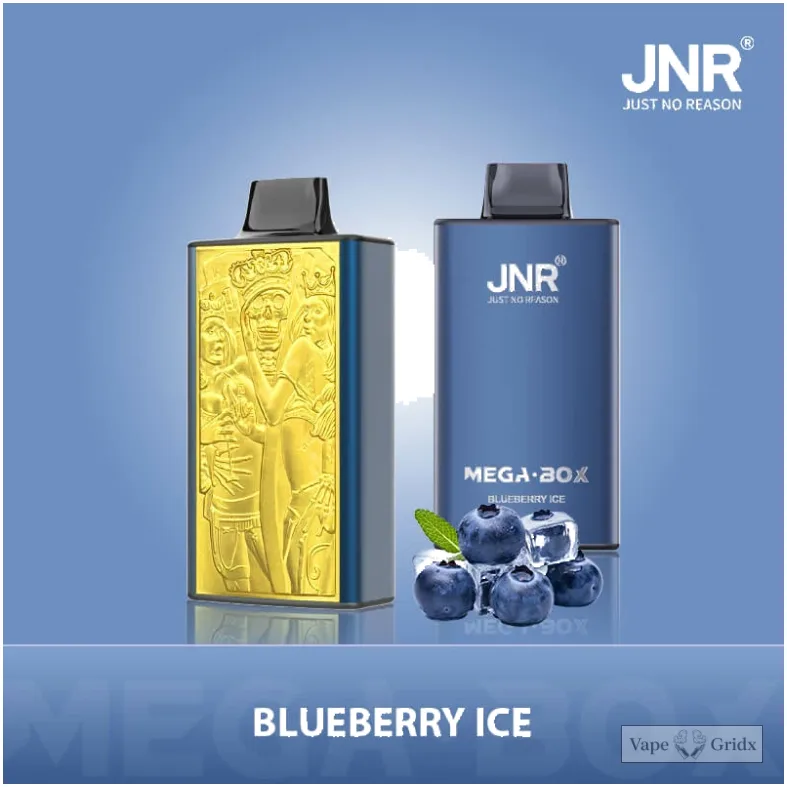 JNR MEGA BOX 25000 25K Züge Einweg-Vape - image 3