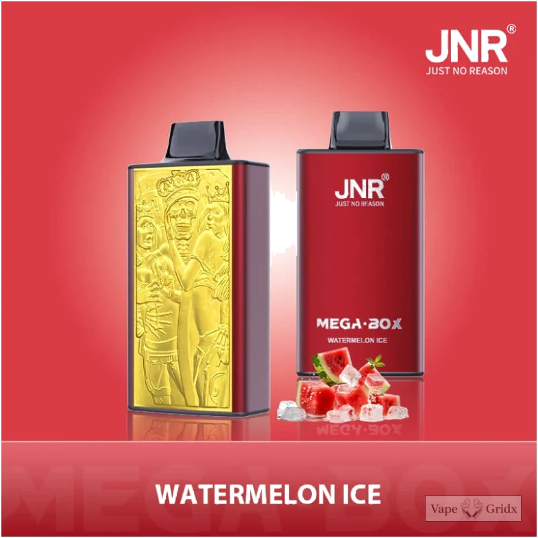 JNR MEGA BOX 25000 25K Züge Einweg-Vape - image 4