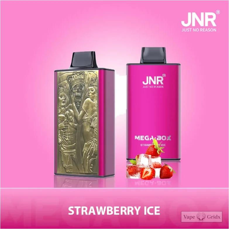 JNR MEGA BOX 25000 25K Züge Einweg-Vape - image 5