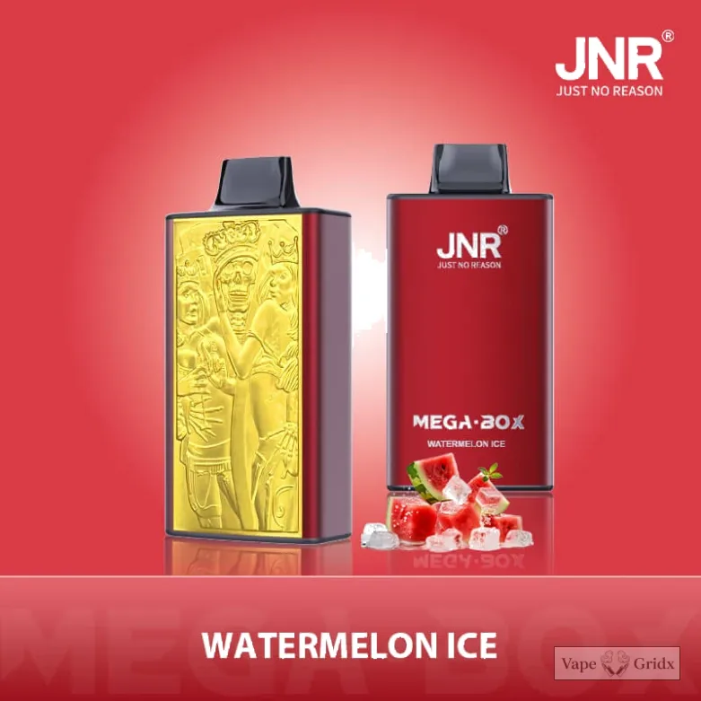 JNR MEGA BOX 25000 25K Züge Einweg-Vape - image 6