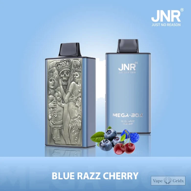 JNR MEGA BOX 25000 25K Züge Einweg-Vape - image 10
