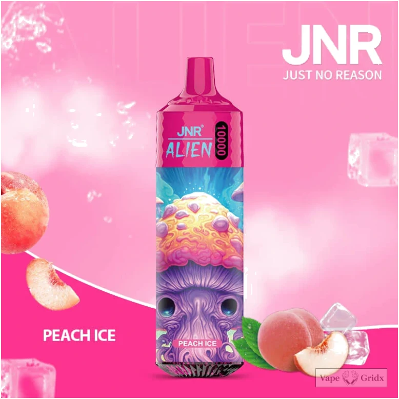 JNR Alien 10000 10K Züge Einweg-Vape - image 6