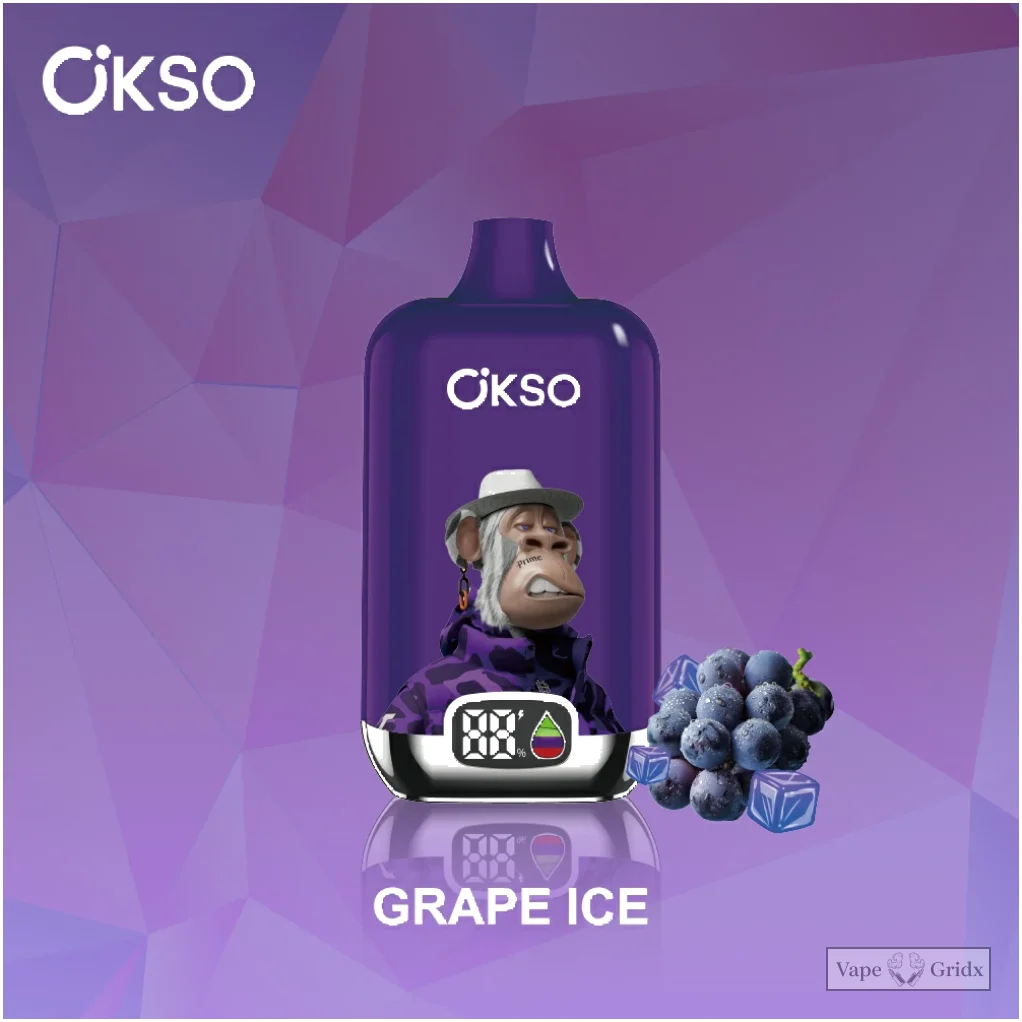 OKSO Digital Box 12000 12K Züge Einweg-Vape