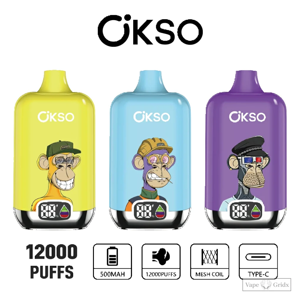 OKSO Digital Box 12000 12K Züge Einweg-Vape - image 12