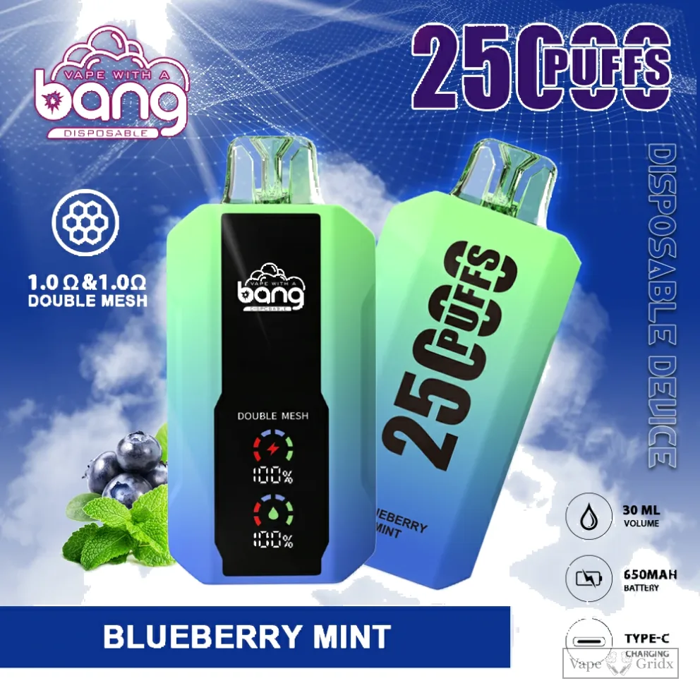 Bang 25000 25K Züge Display Screen Einweg-Vape - image 5