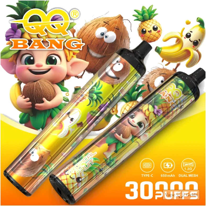 QQ Bang 30000 30K Züge Einweg-Vape - image 6