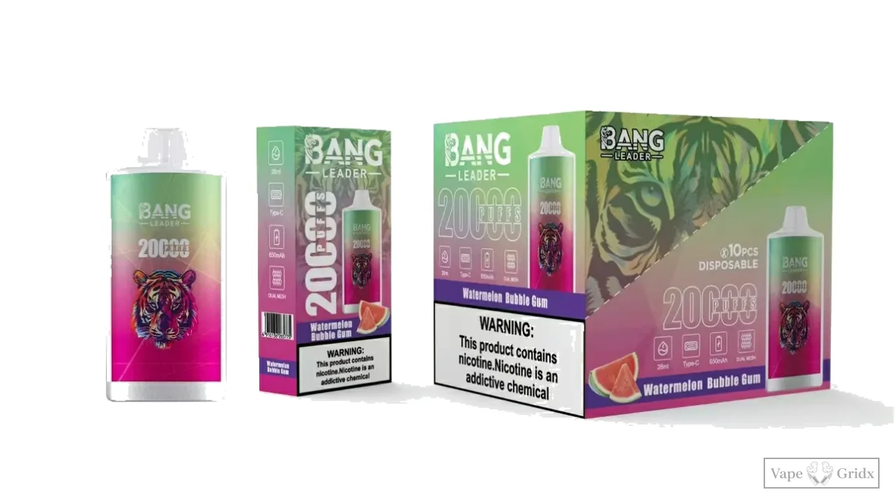 Bangleader 20000 20K Züge Advanced Mesh Einweg-Vape - image 4