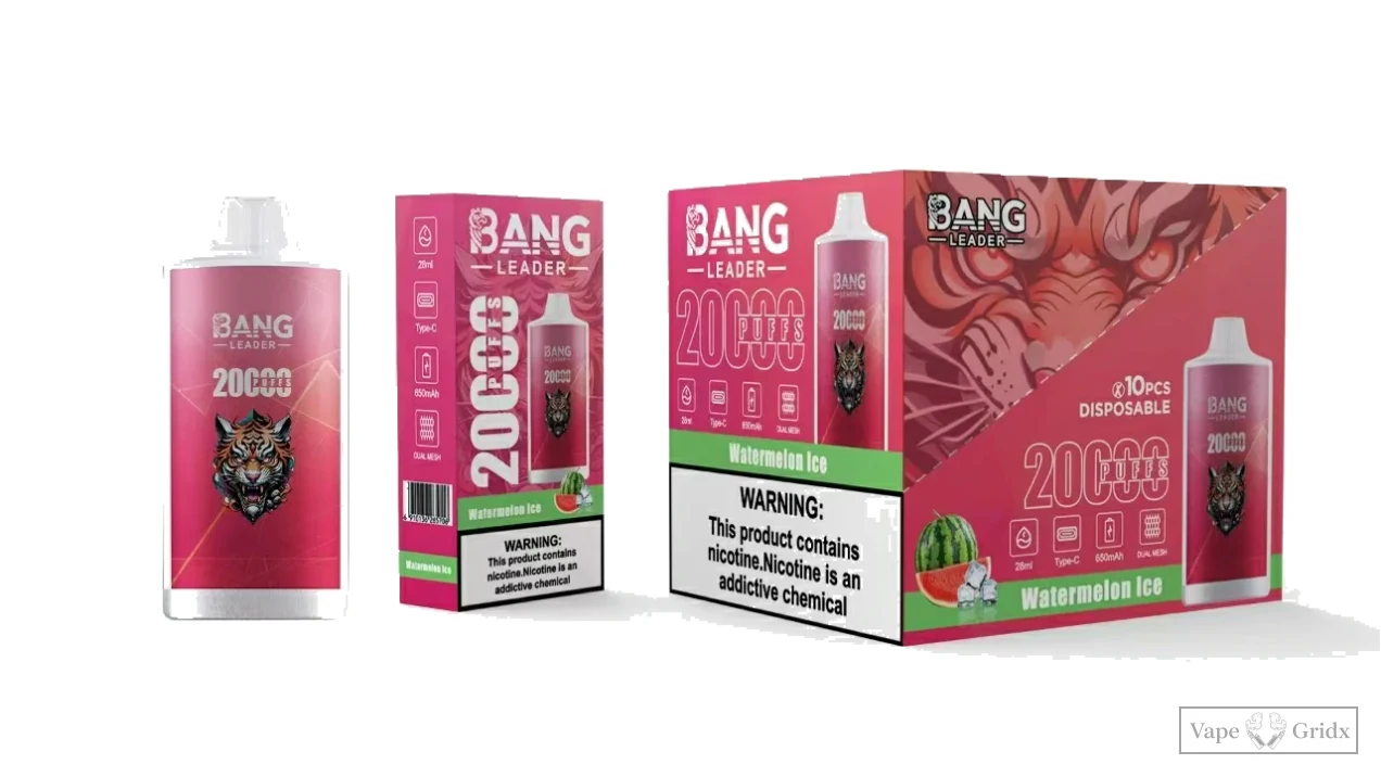 Bangleader 20000 20K Züge Advanced Mesh Einweg-Vape - image 5