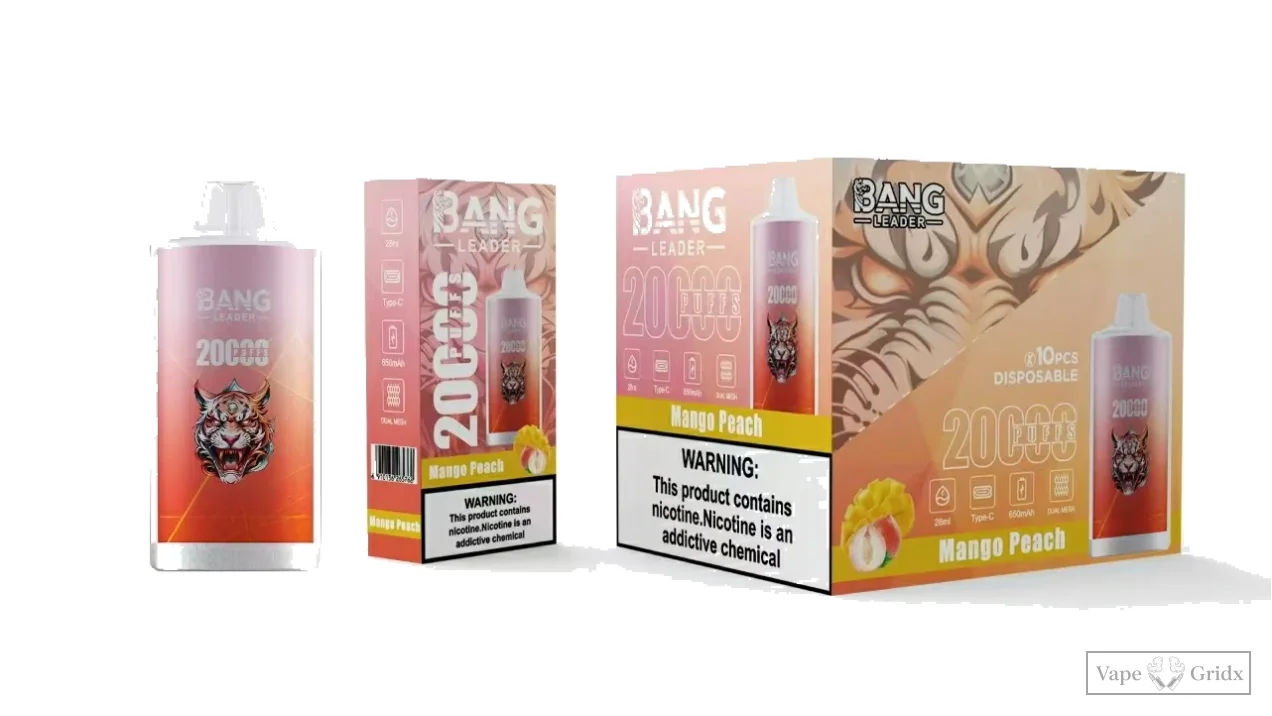 Bangleader 20000 20K Züge Advanced Mesh Einweg-Vape - image 9