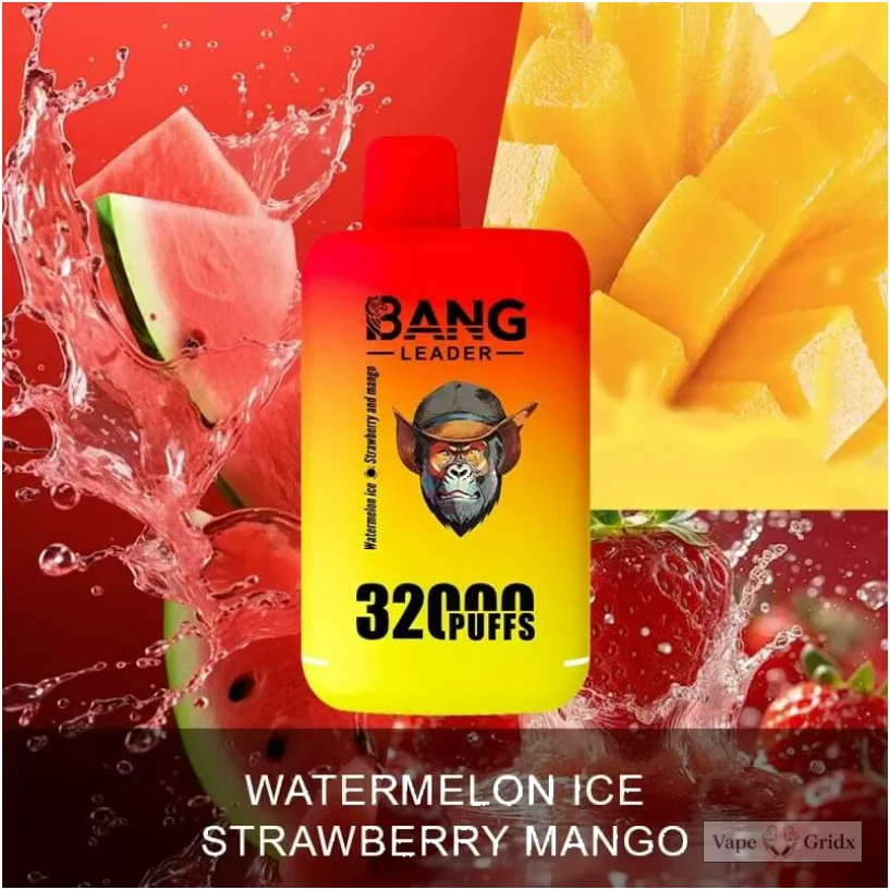 Bangleader 32000 32K Züge 2-in-1 Einweg-Vape - image 11