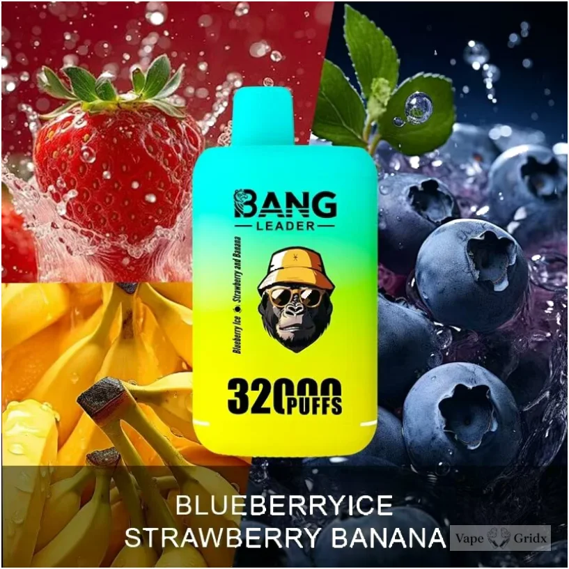 Bangleader 32000 32K Züge 2-in-1 Einweg-Vape - image 3