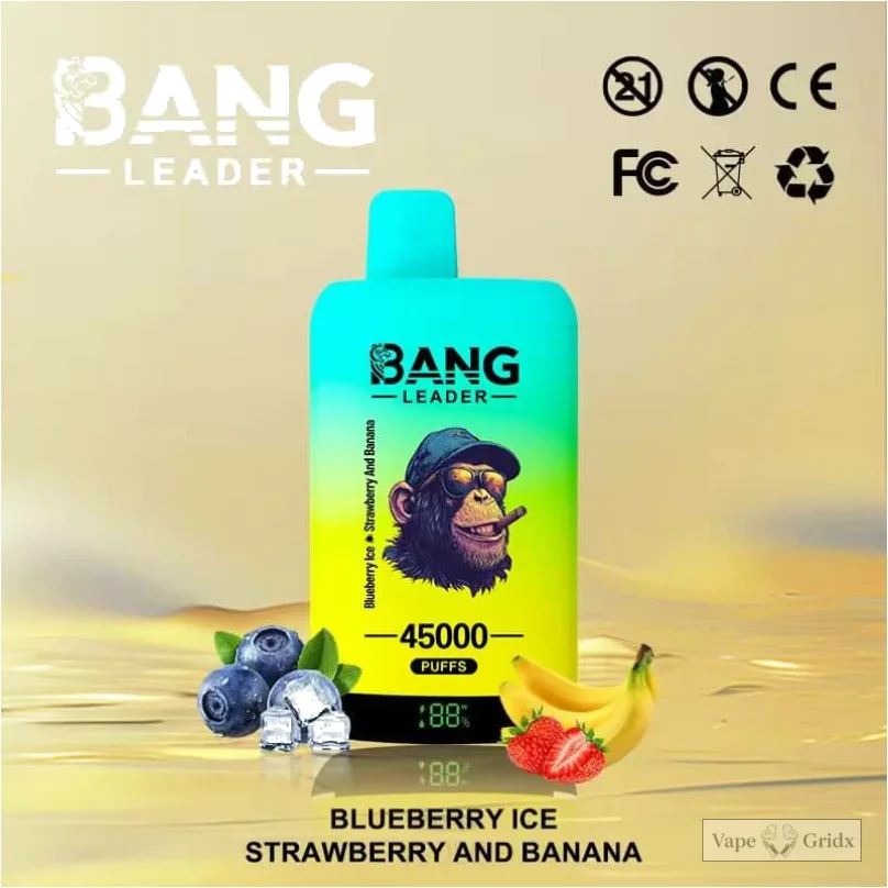 Bangleader 45000 45K Züge 2-in-1 Einweg-Vape - image 2