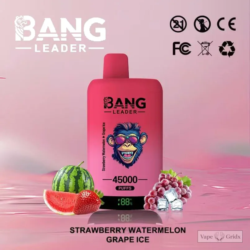 Bangleader 45000 45K Züge 2-in-1 Einweg-Vape - image 11