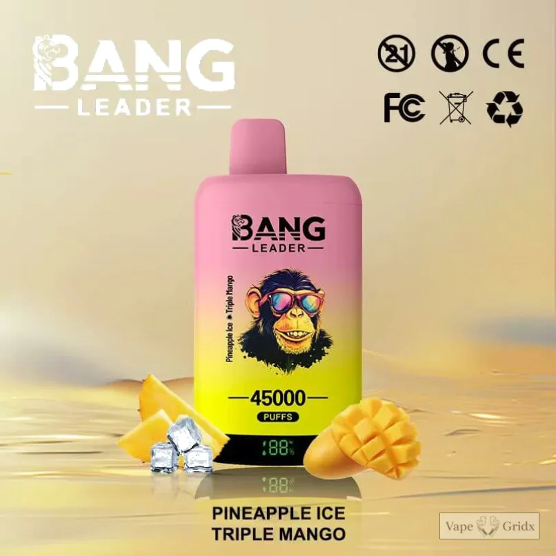Bangleader 45000 45K Züge 2-in-1 Einweg-Vape - image 3