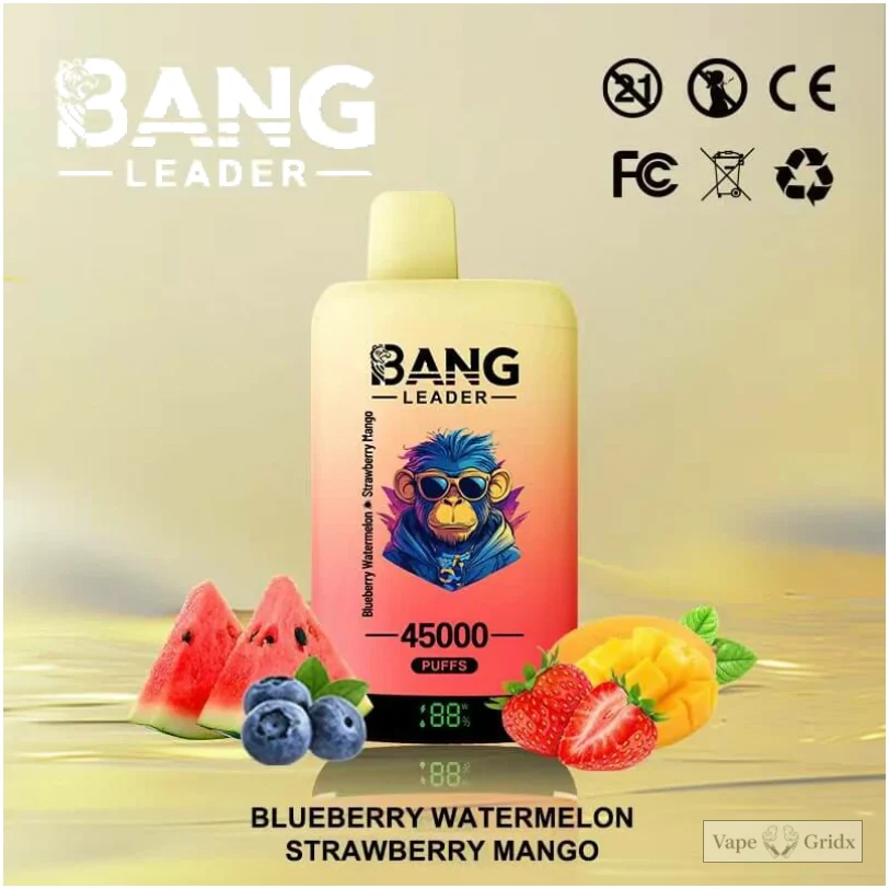 Bangleader 45000 45K Züge 2-in-1 Einweg-Vape - image 4