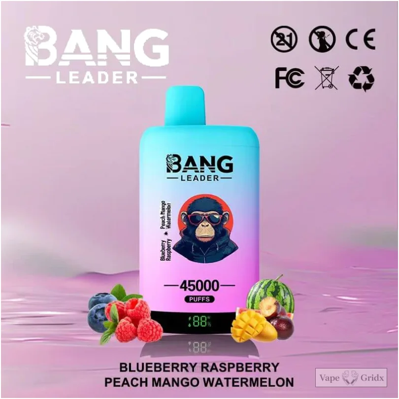 Bangleader 45000 45K Züge 2-in-1 Einweg-Vape - image 5
