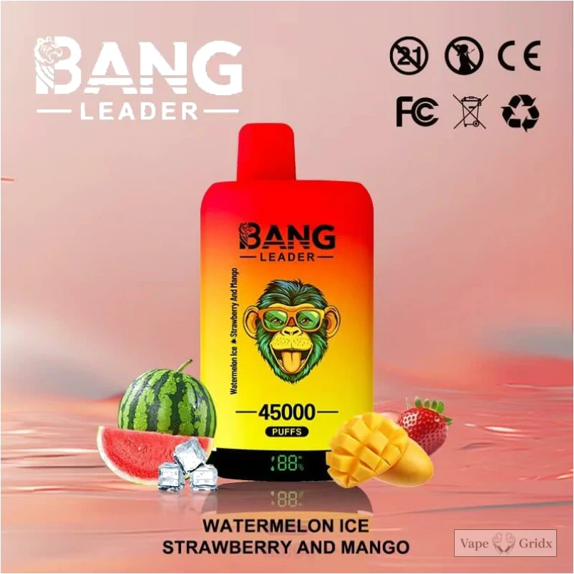 Bangleader 45000 45K Züge 2-in-1 Einweg-Vape - image 6