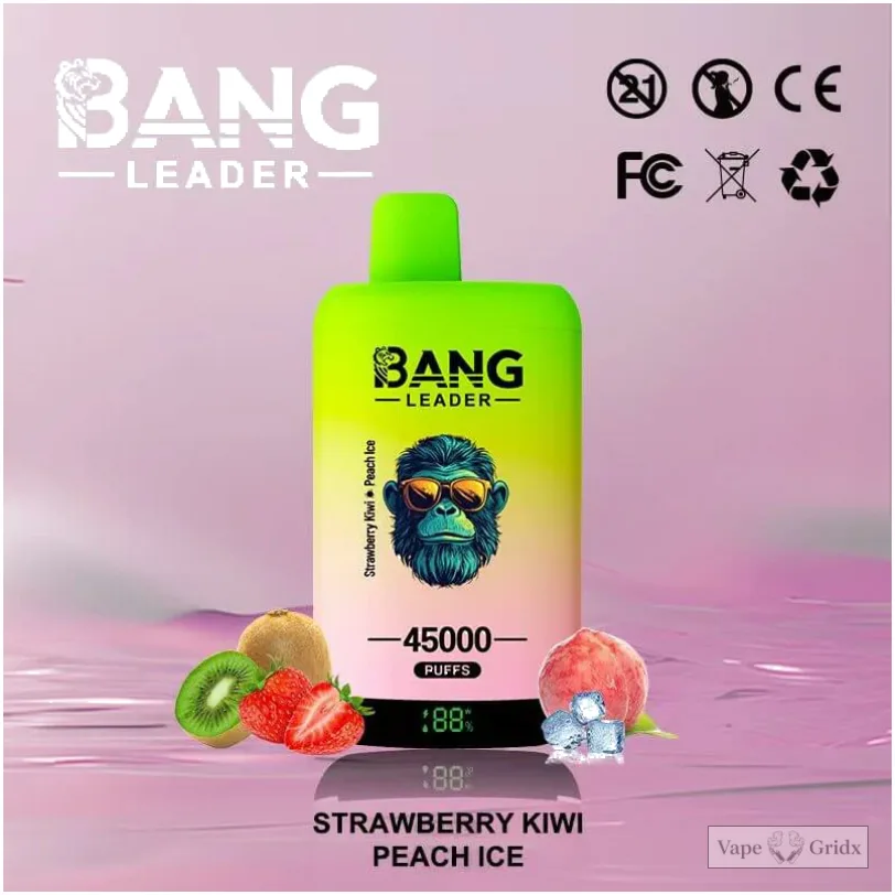 Bangleader 45000 45K Züge 2-in-1 Einweg-Vape - image 8