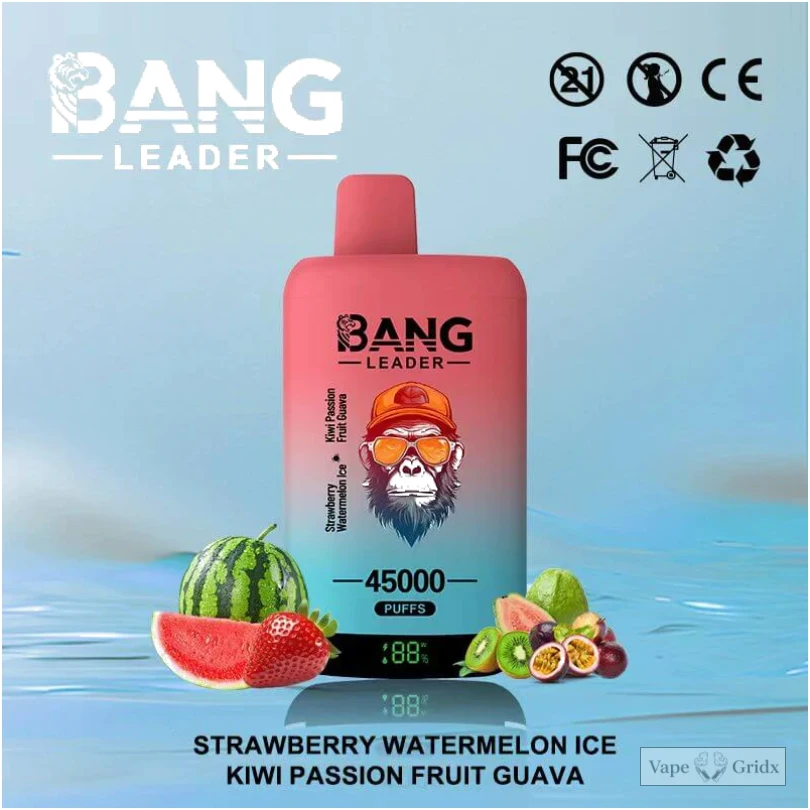 Bangleader 45000 45K Züge 2-in-1 Einweg-Vape - image 9