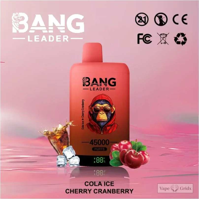 Bangleader 45000 45K Züge 2-in-1 Einweg-Vape - image 10