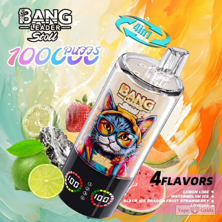 Bang Leader 100000 100K Züge 4-in-1 Einweg-Vape - image 12