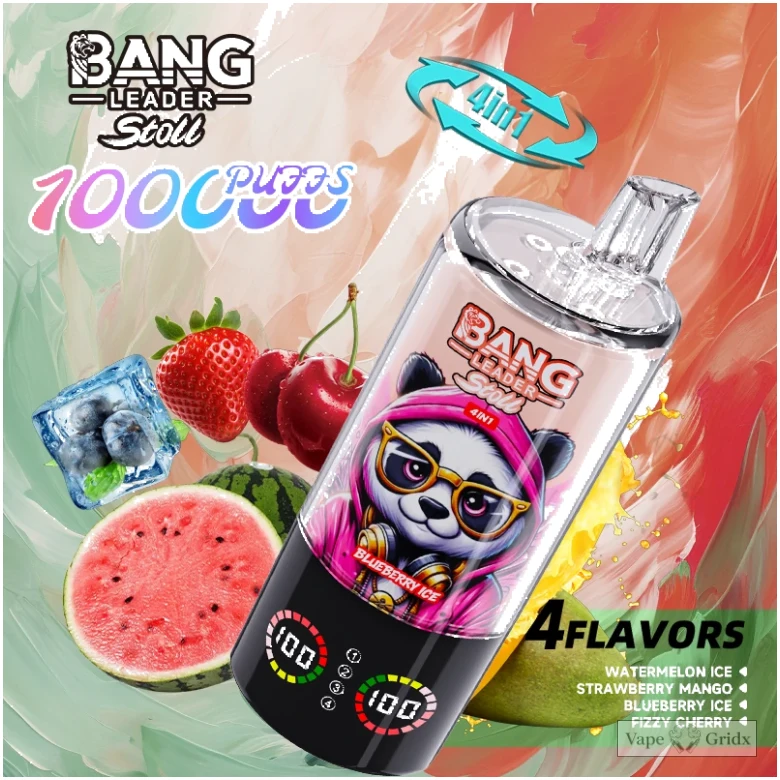 Bang Leader 100000 100K Züge 4-in-1 Einweg-Vape - image 13