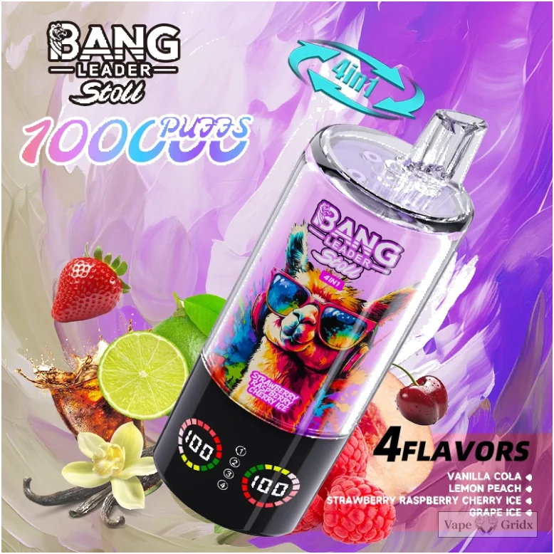 Bang Leader 100000 100K Züge 4-in-1 Einweg-Vape - image 14