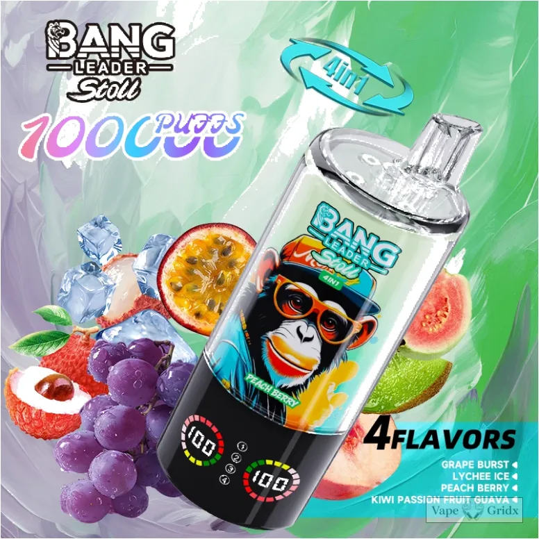 Bang Leader 100000 100K Züge 4-in-1 Einweg-Vape - image 15