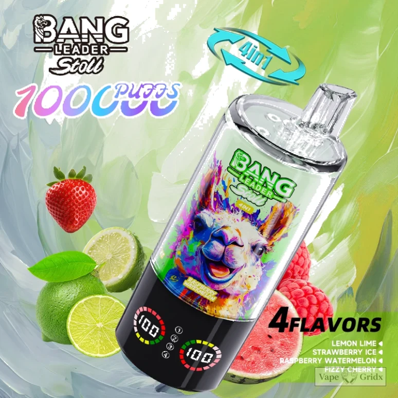 Bang Leader 100000 100K Züge 4-in-1 Einweg-Vape - image 16
