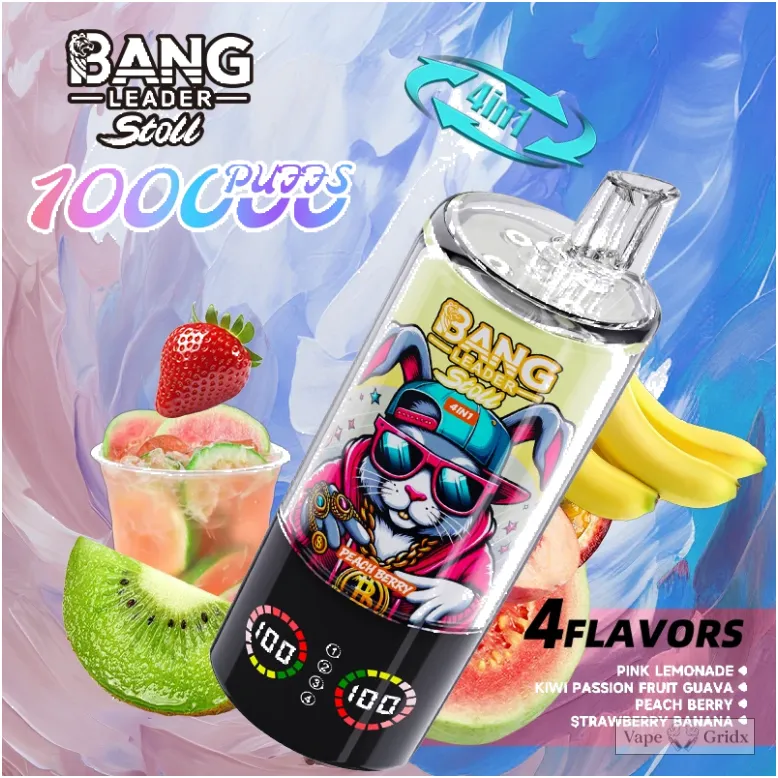 Bang Leader 100000 100K Züge 4-in-1 Einweg-Vape - image 18