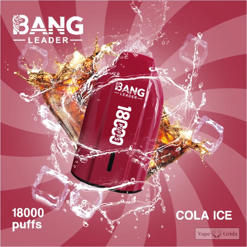 Bang Leader 18000 18K Züge Mesh Coil Einweg-Vape - image 2