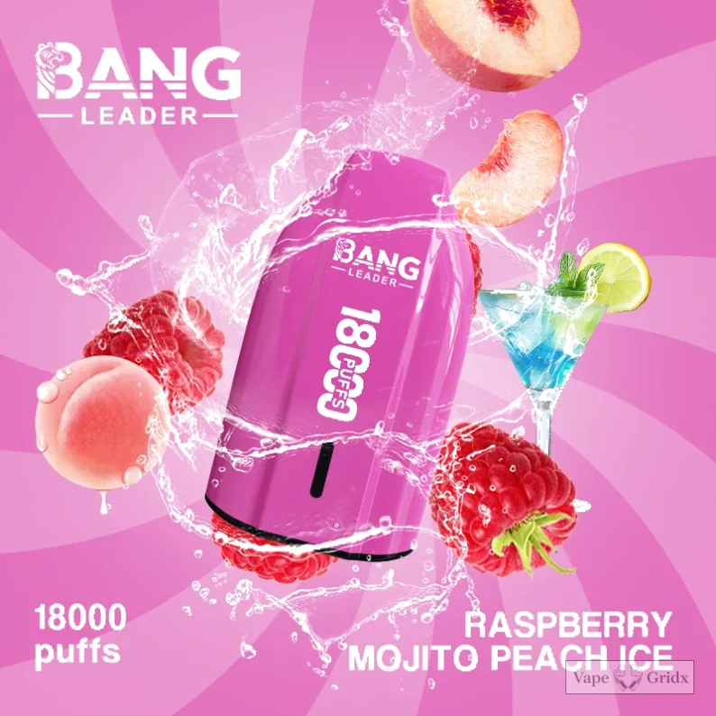 Bang Leader 18000 18K Züge Mesh Coil Einweg-Vape - image 11
