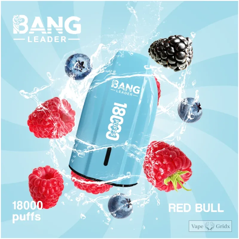 Bang Leader 18000 18K Züge Mesh Coil Einweg-Vape - image 12
