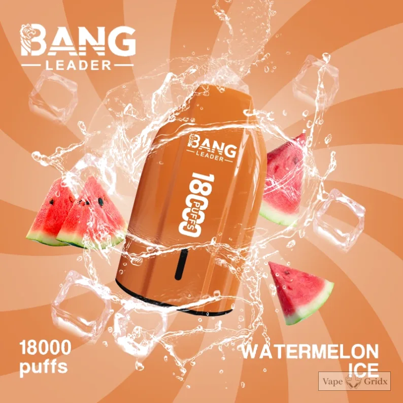Bang Leader 18000 18K Züge Mesh Coil Einweg-Vape - image 3
