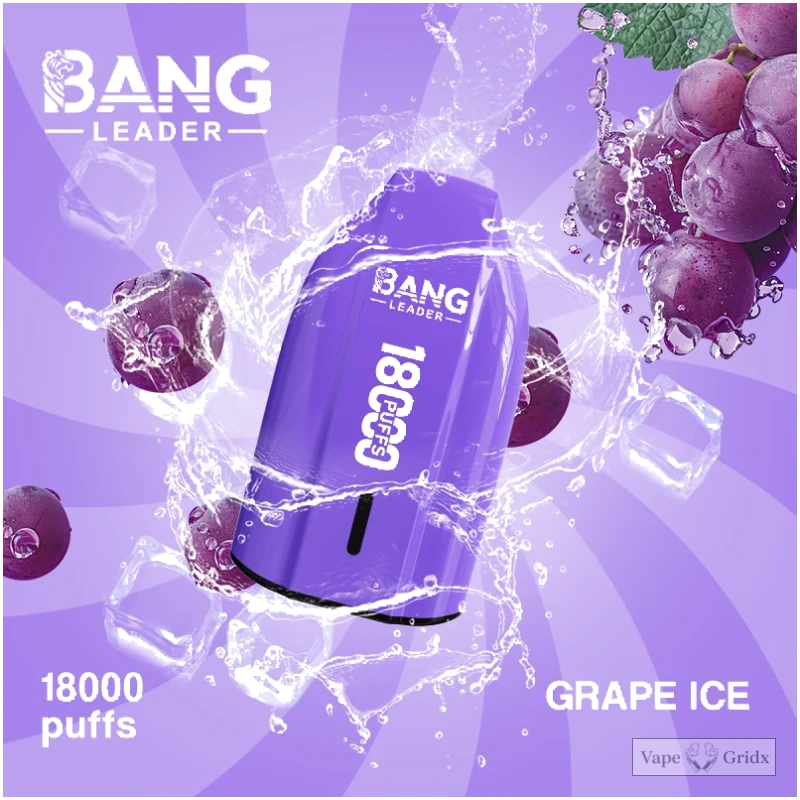 Bang Leader 18000 18K Züge Mesh Coil Einweg-Vape - image 4
