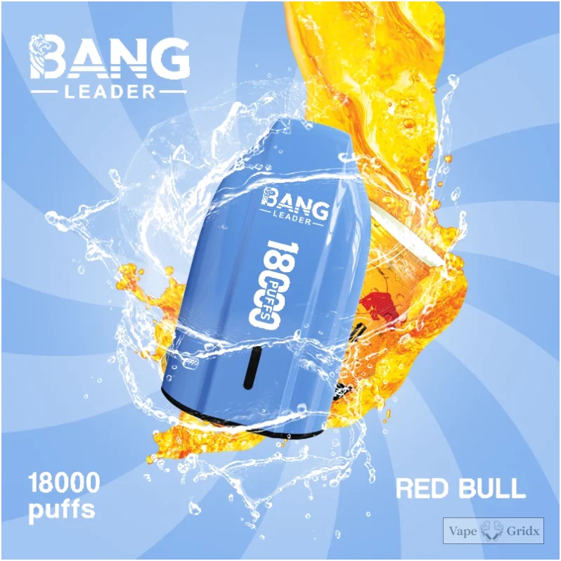 Bang Leader 18000 18K Züge Mesh Coil Einweg-Vape - image 5