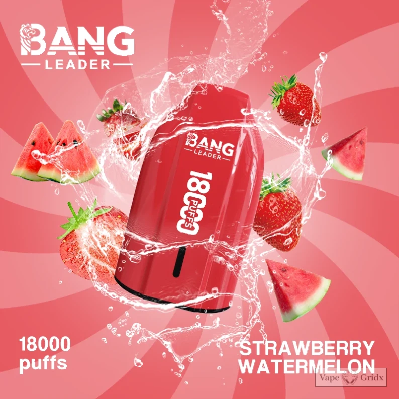 Bang Leader 18000 18K Züge Mesh Coil Einweg-Vape - image 7