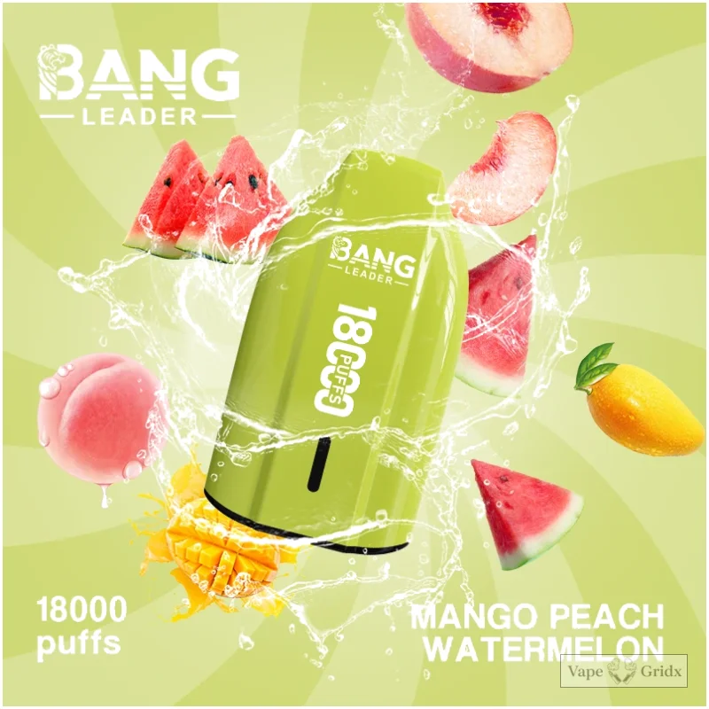 Bang Leader 18000 18K Züge Mesh Coil Einweg-Vape - image 8