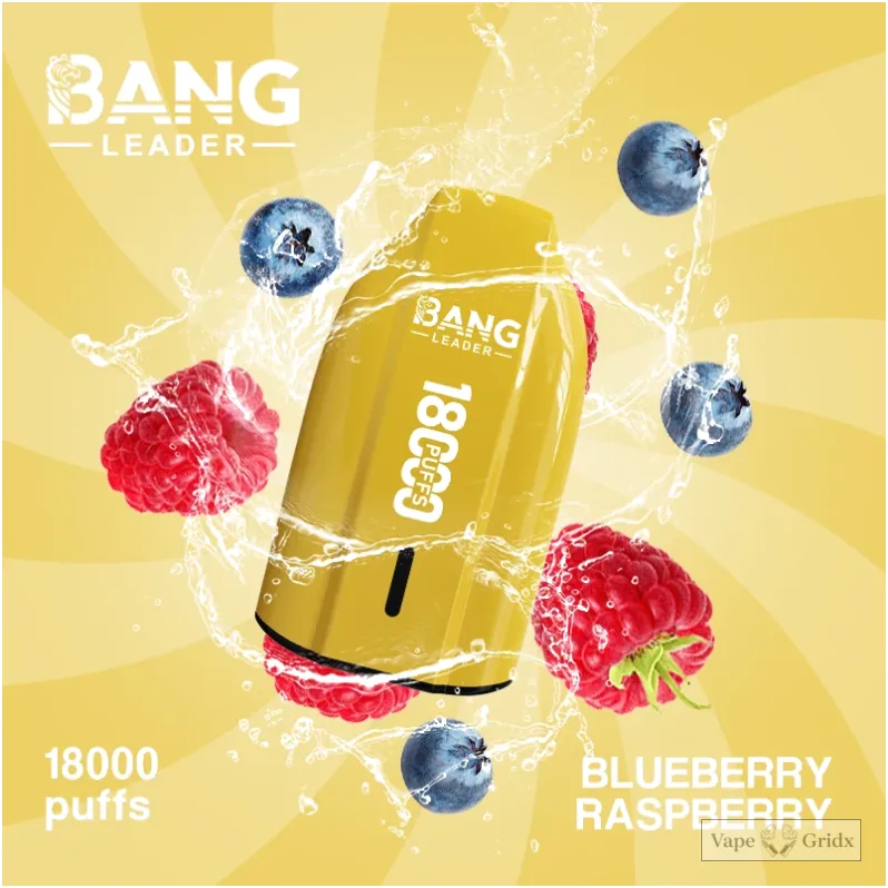 Bang Leader 18000 18K Züge Mesh Coil Einweg-Vape - image 9