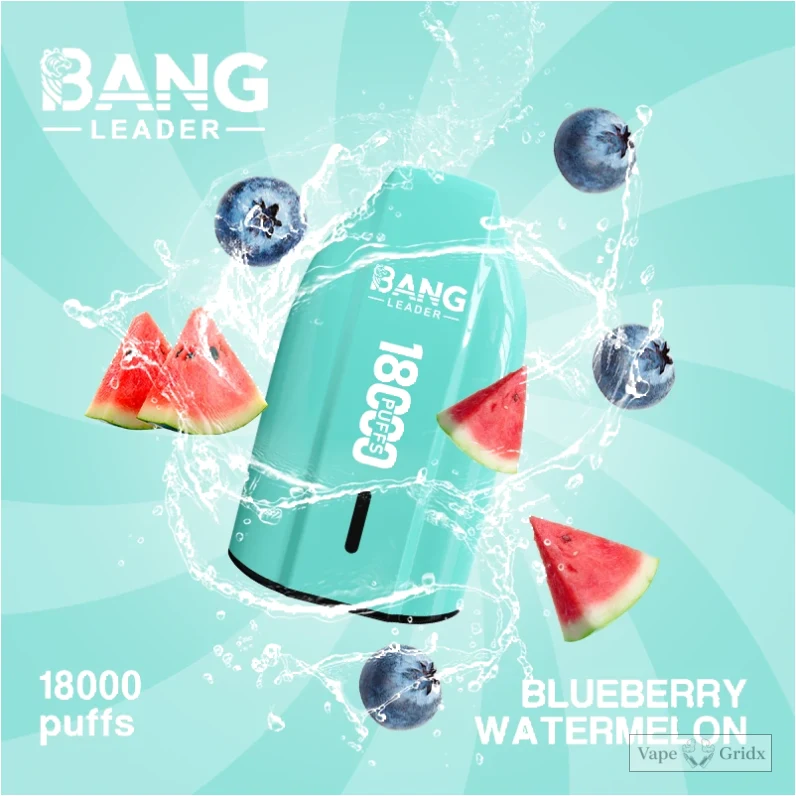 Bang Leader 18000 18K Züge Mesh Coil Einweg-Vape - image 10
