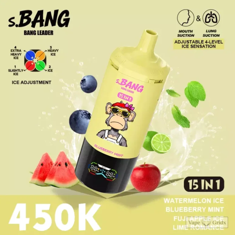 Bang Leader 450000 450K Züge 15in1 Einweg-Vape - image 12